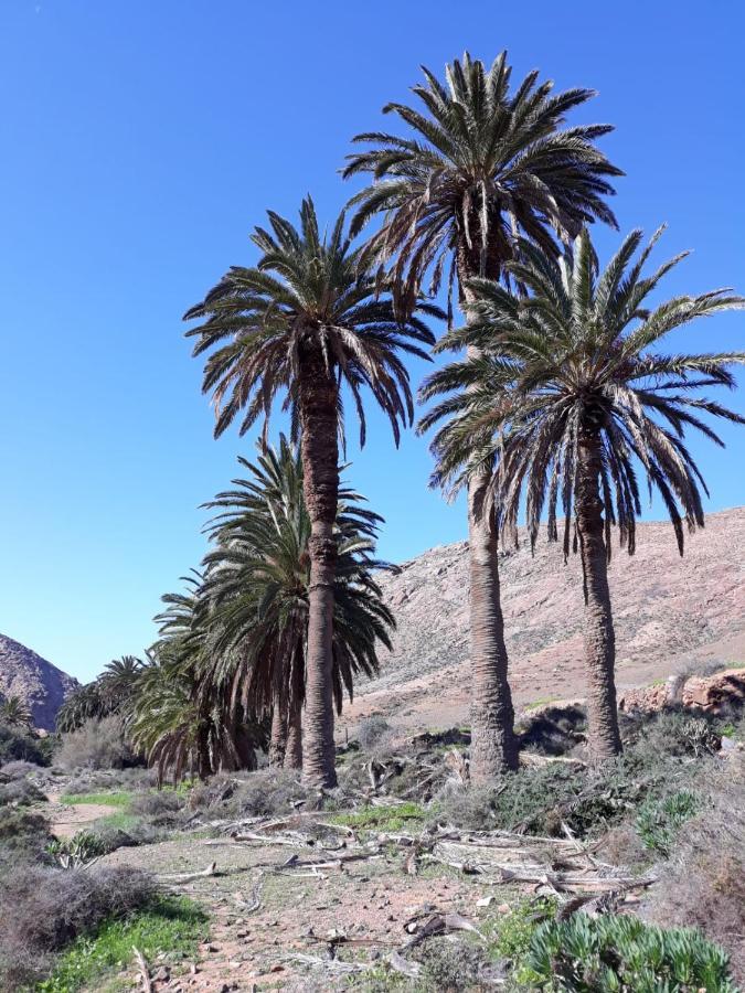 La Pradera *