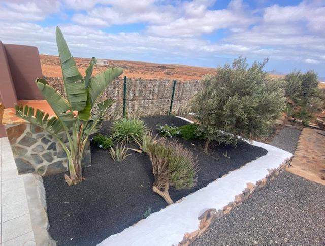 La Pradera * Antigua (Fuerteventura)